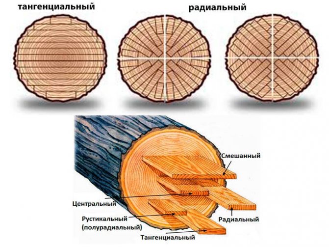 Як прибити обналичку для дверей? Етапи встановлення наличників