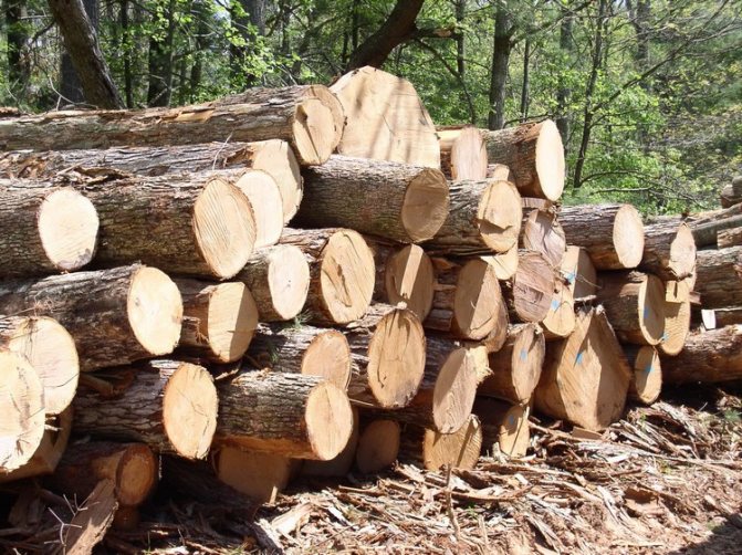 Технологія гліночурка - cordwood