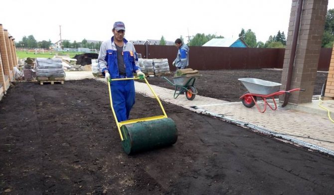Про формування газону своїми руками: покрокова інструкція, як зробити