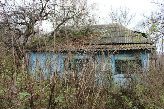 Про формування газону своїми руками: покрокова інструкція, як зробити