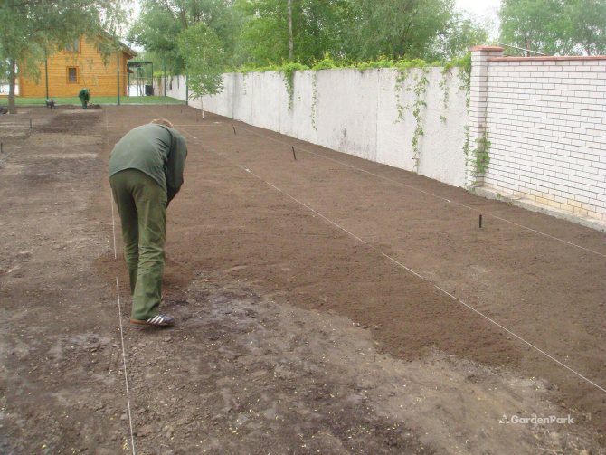Про формування газону своїми руками: покрокова інструкція, як зробити