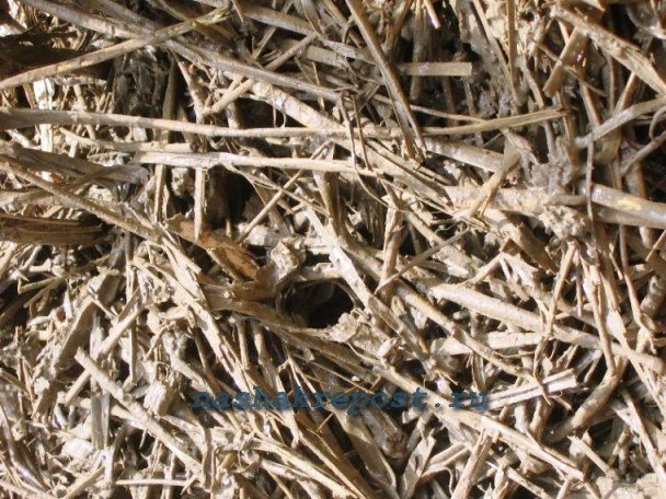 Технологія гліночурка - cordwood