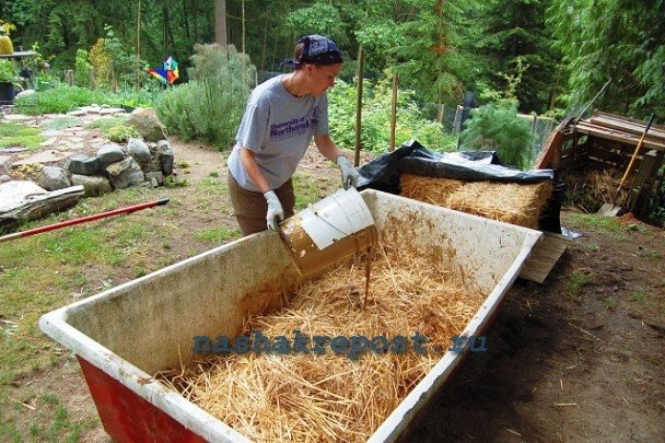 Технологія гліночурка - cordwood
