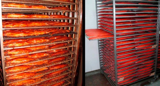 Камера для копчення продуктів