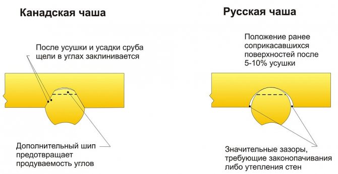 Канадська та українська чаші