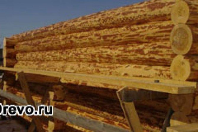 Зруб своїми руками із круглого лісу