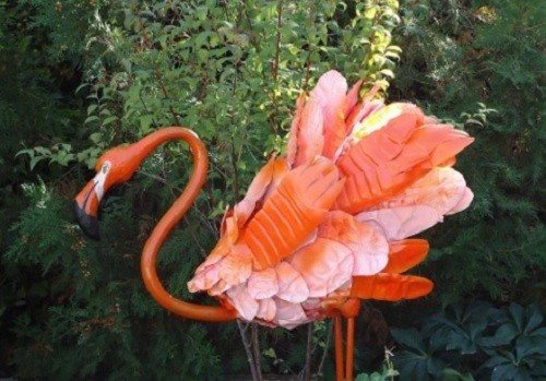 дивовижний фламінго