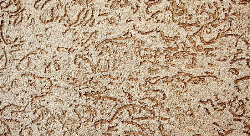 Штукатурка короїд фото