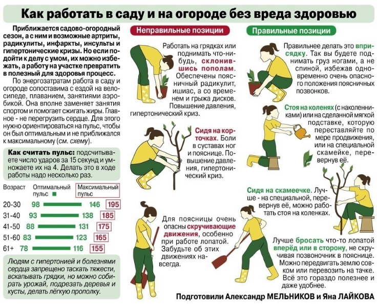 Правильні та неправильні позиції на городі