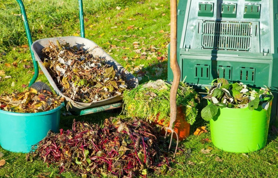 Осіннє збирання бур'янів