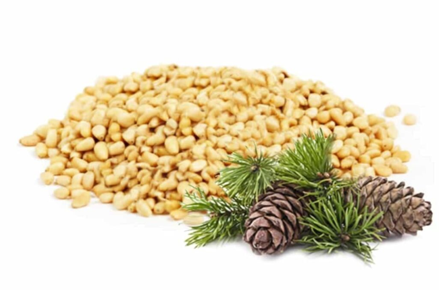 Кедровий горіх