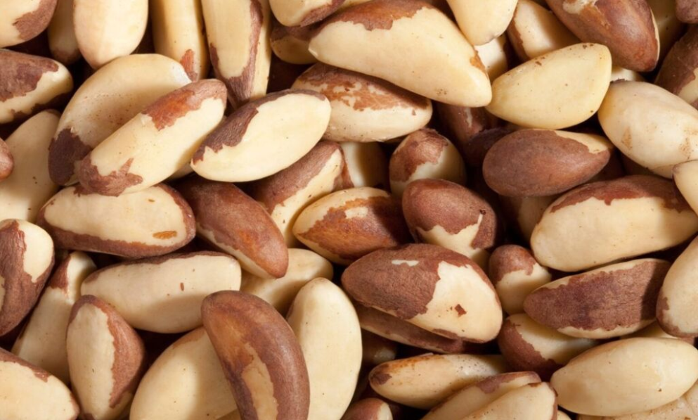 Бразильський горіх