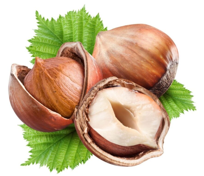 Лісовий горіх