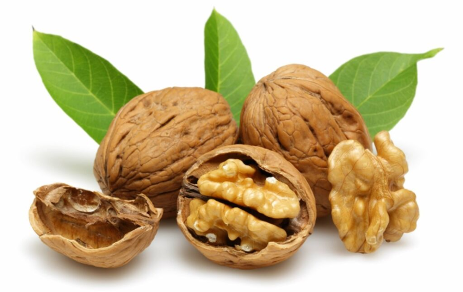 грецький горіх