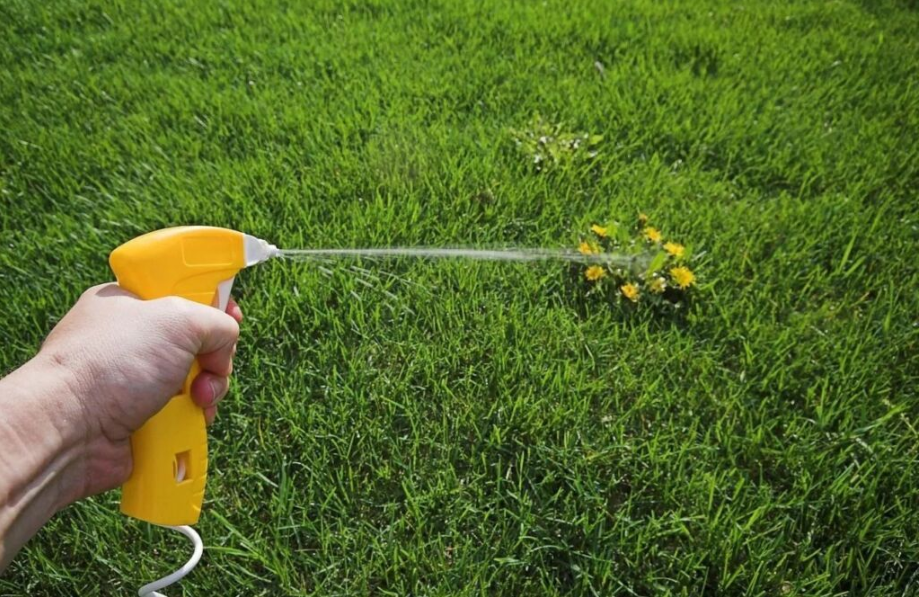 Безпечні гербіциди від бур'янів