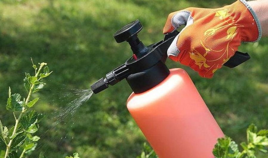 Обприскування городу пульверизатора