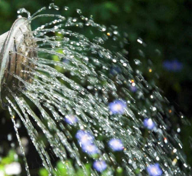 Поливання бур'янів із лійки
