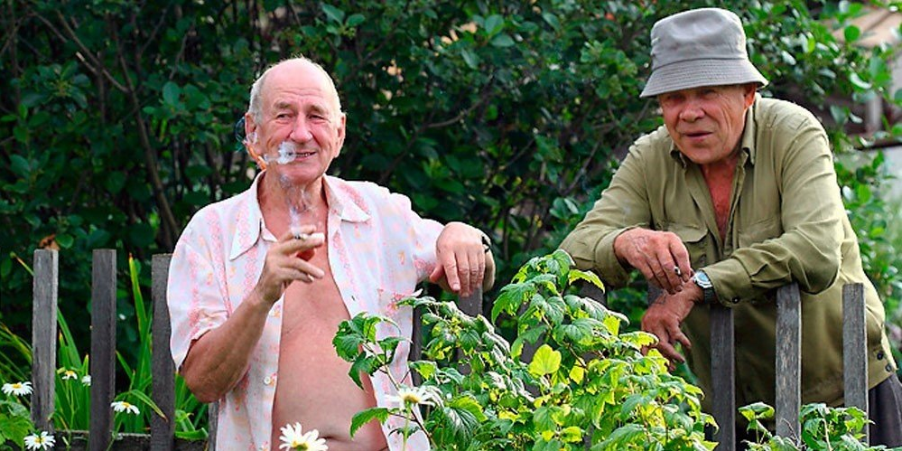 сусіди по дачі закон