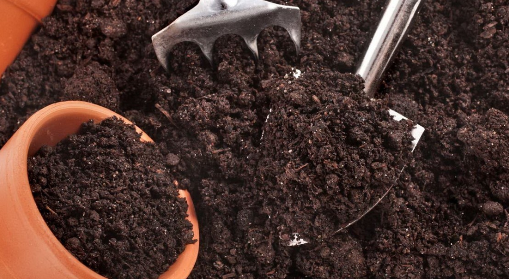 Дезінфекція землі