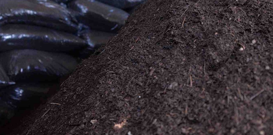 Прожарювання ґрунту