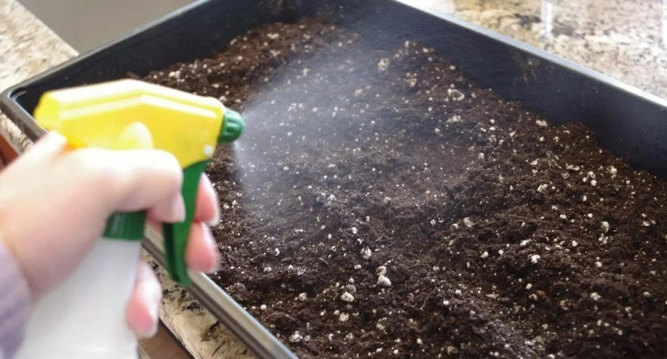 Хімічна обробка землі