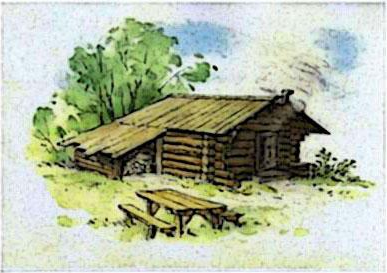 Вибір дерева