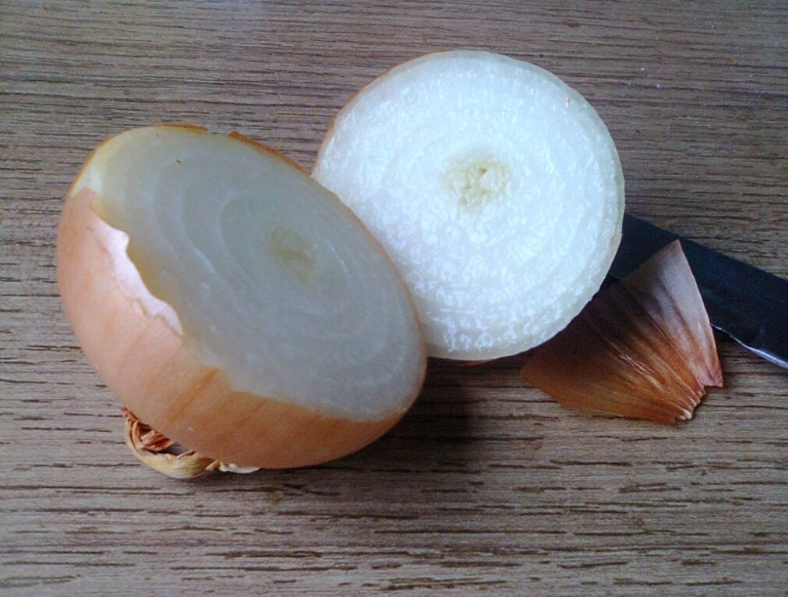 Цибуля